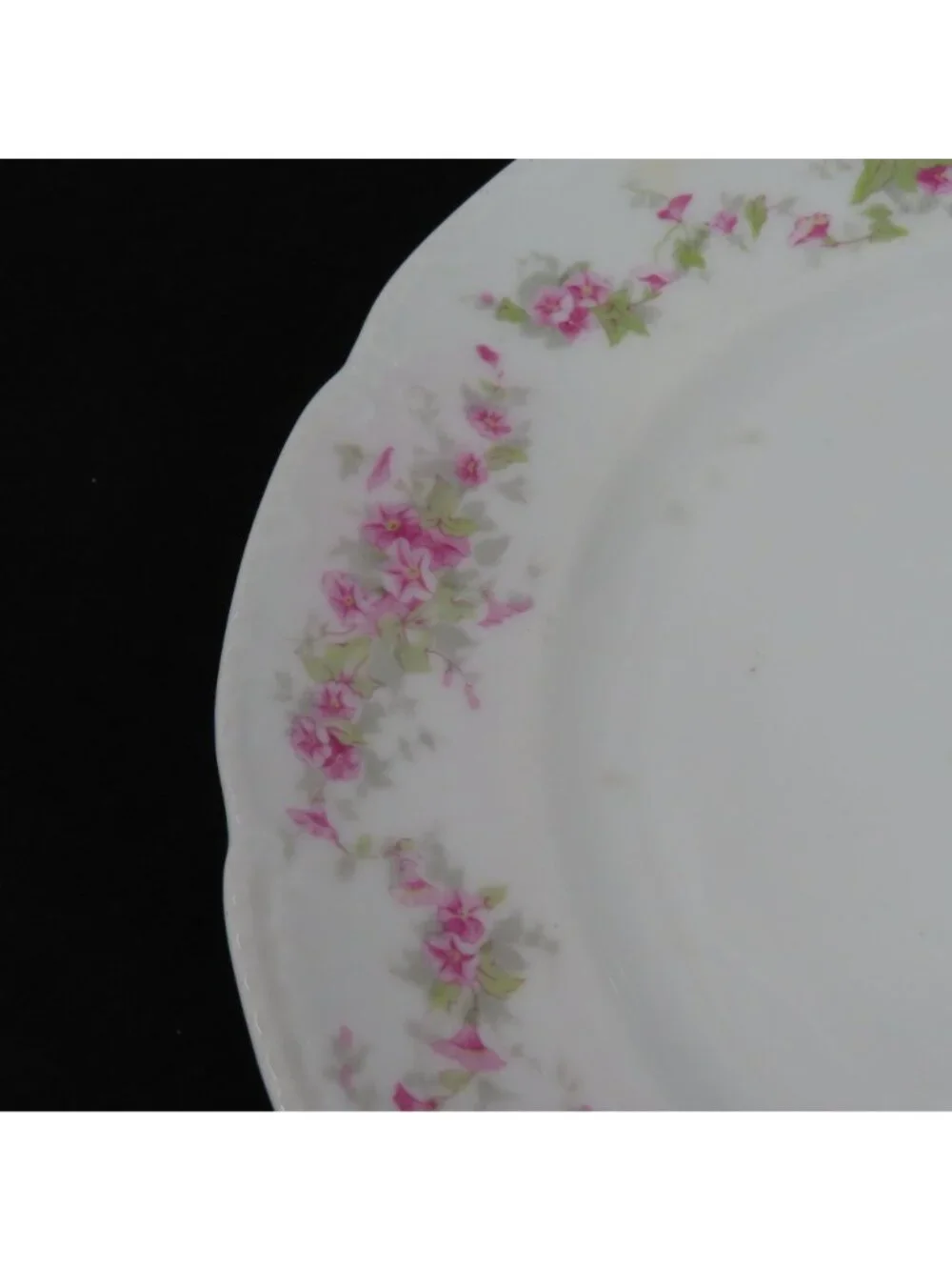 VTG Bassett Limoges 2 Plates 9.6in Pink Floral Flower Swag Chic Austria Chic